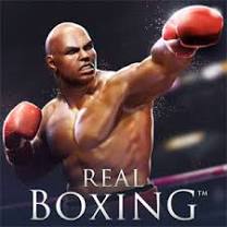 Real Boxing بوکس واقعی