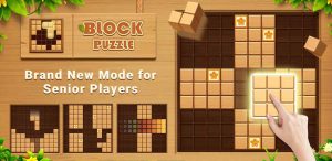 بازی بلوک های چوبی