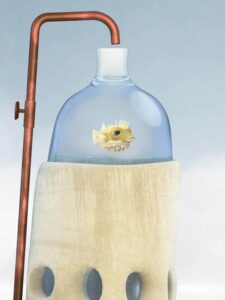 بازی فلون Flewn