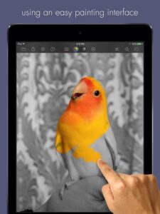 برنامه رنگپاش برای آیپد Color Splash for iPad