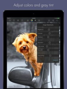 برنامه رنگپاش برای آیپد Color Splash for iPad